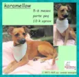 Karamelow