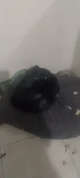 Negão