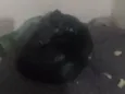 Negão