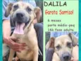 Dalila