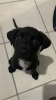Aika