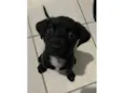 Aika
