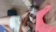 Gatinho e gatinhas - 2 meses - FIV-FeLV negativos - Vacinas e castração garantida