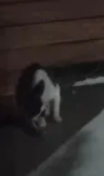 Sem nome ainda