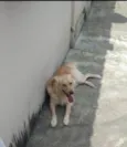 Billy