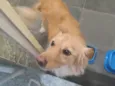 Billy