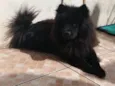 Zoey