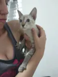Maria 3