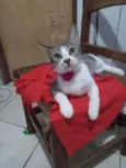 Nana