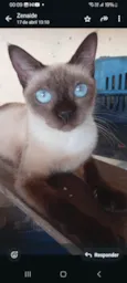 Lala