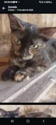 Mel