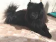 Zoey