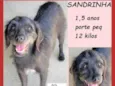 Sandrinha