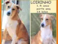 Loirinho