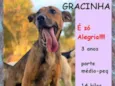 Gracinha