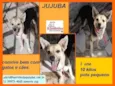 Jujuba