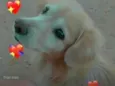 Tobby