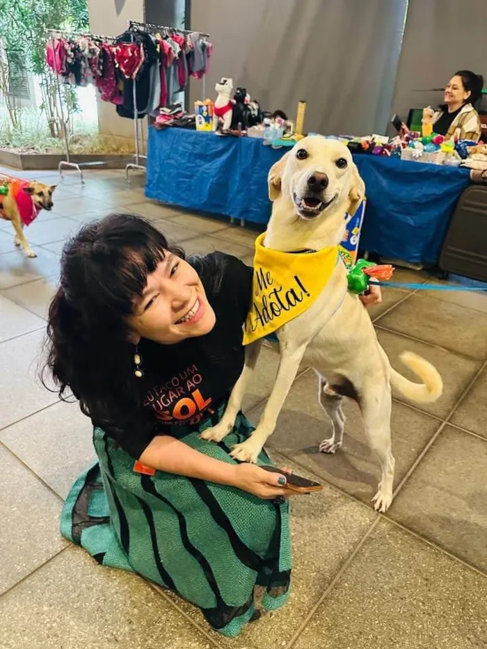 Cachorro ra a SRD-ViraLata idade 1 ano nome Laka