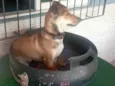 Doly