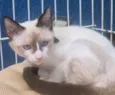PEDROCA MIX