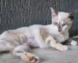 FABRÍCIA MIX