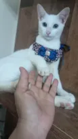 Nick