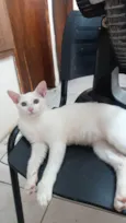 Nick
