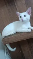Nick