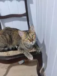 Magali