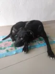 Negão