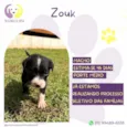 Zouk