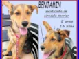 Benjamin