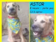 Astor