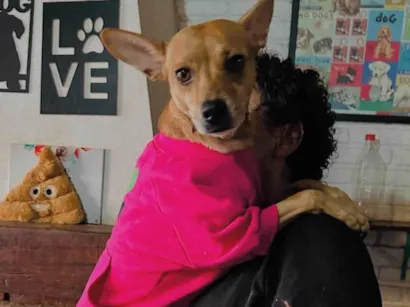 Cachorro raça SRD-ViraLata idade 2 anos nome Grazi 