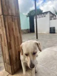 LUNA