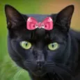 Rubi