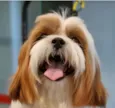 Bartolomeu