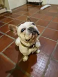 Boris