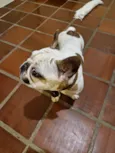 Boris