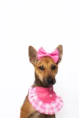 Florinha