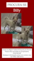 Billy