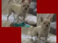 Billy