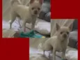 Billy