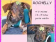 Rochelly