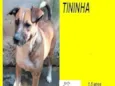 Tininha