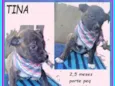 Tina