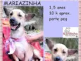 Mariazinha