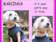 Marcinha
