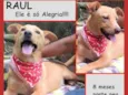 Raul