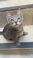 Mia